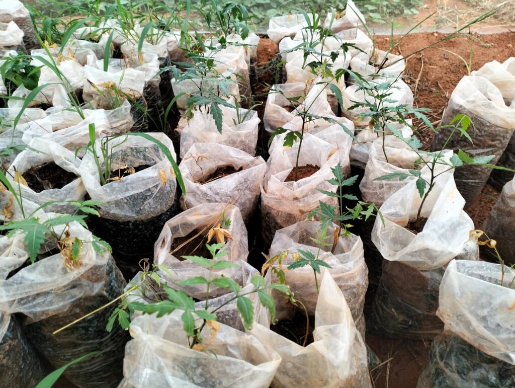 WhatsApp Image 2023-09-15 at 07.45.04