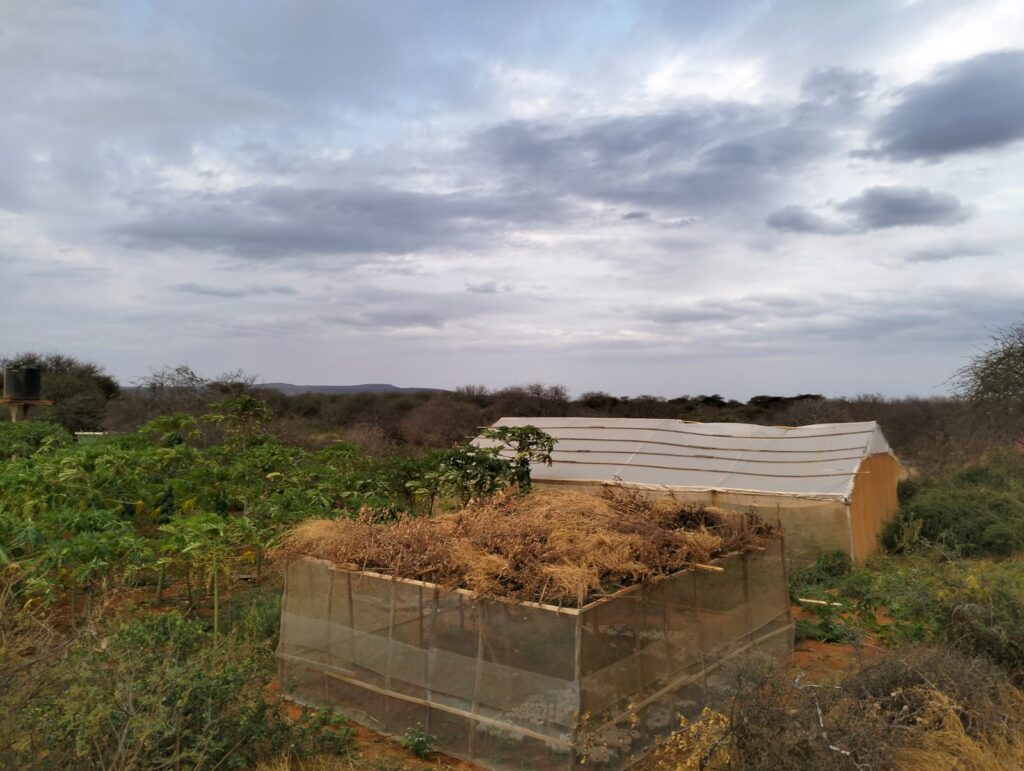 WhatsApp Image 2023-09-15 at 07.45.10